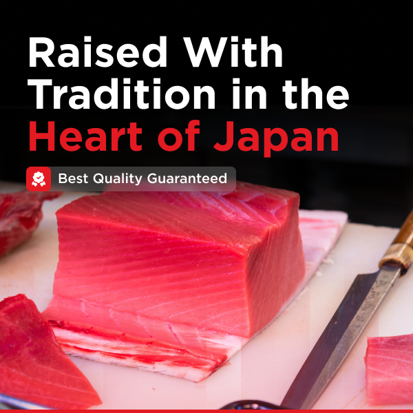 Japanese Tuna Saku | Bluefin Akami