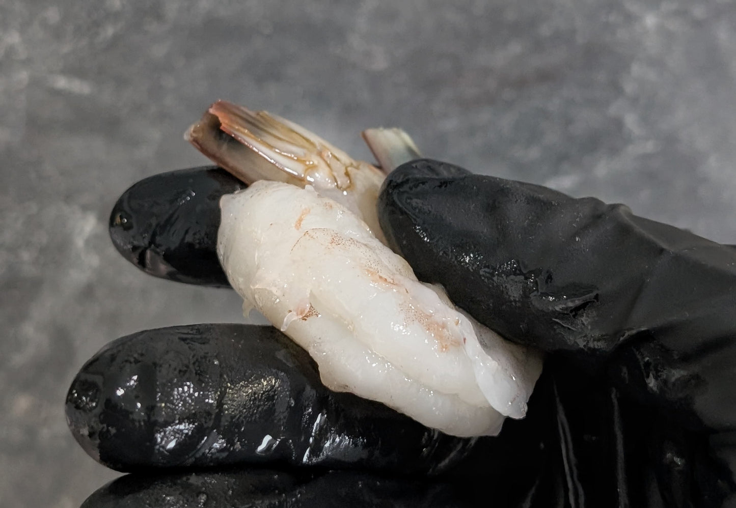 Shrimp (Peeled, Deveined - U16/20) | Sustainably Raised