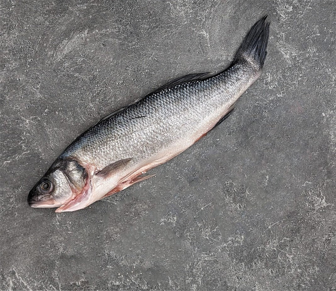 Whole Branzino | Mediterranean