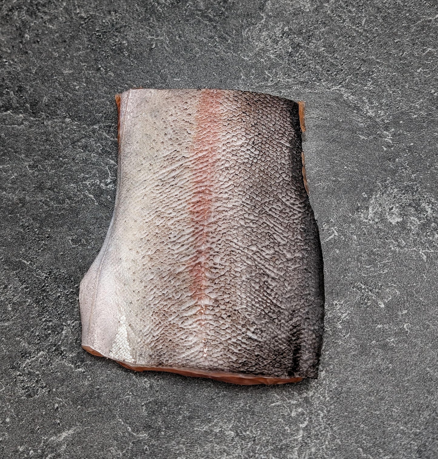 Rocky Mountains Freshwater Trout