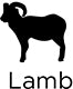 logoImgae5
