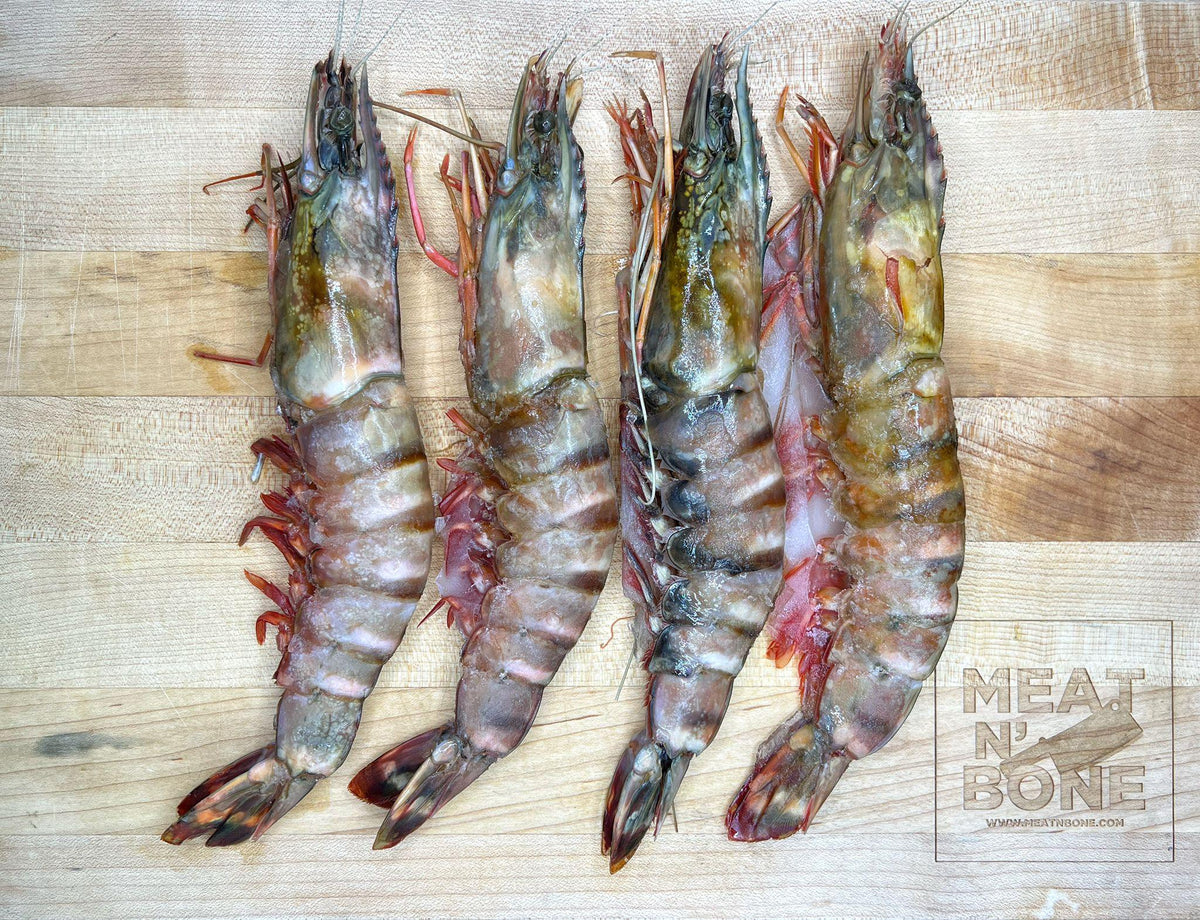 Shrimp, Prawn, Tiger Shrimp, Realistic Rubber Reproduction, Hand Painted  Figurines, 4 CH083 BB82