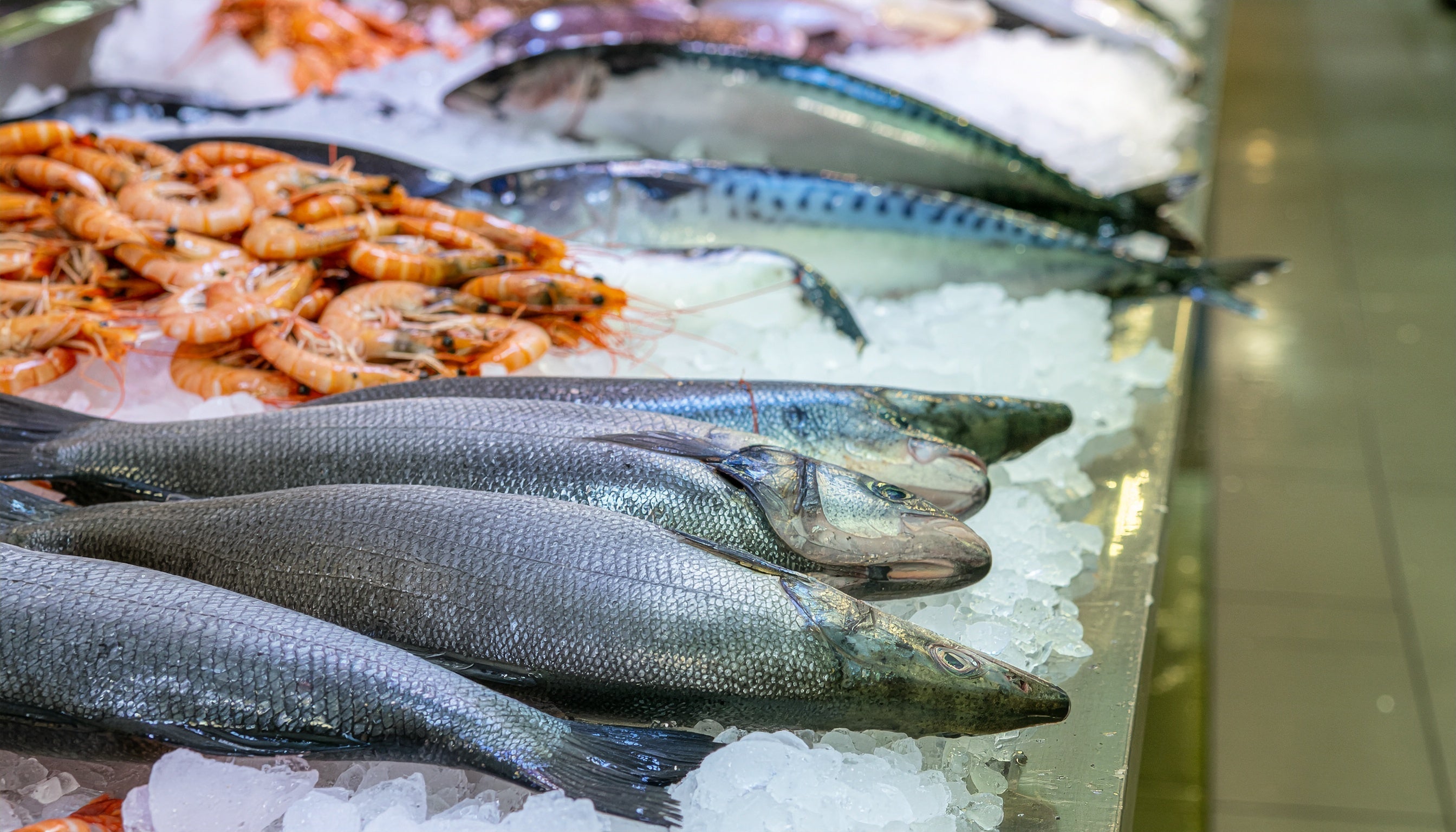 Stop Lying to Yourself: Unless You Live by the Dock, You’re Not Buying “Fresh” Fish
