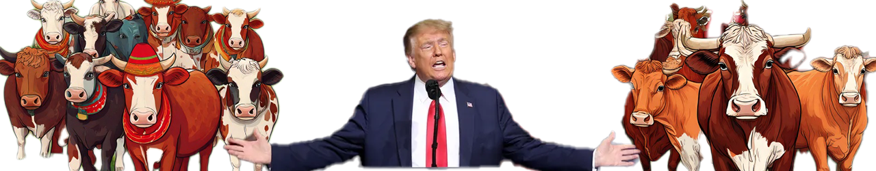 How Trump’s Tariffs Will Impact Beef Prices—And Why Now Is the Time to Focus on Quality - Meat N' Bone