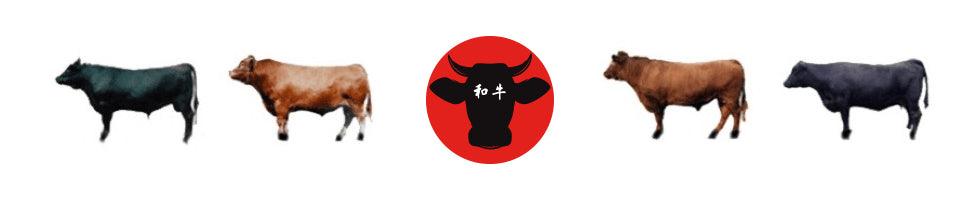 Wagyu 201: How Wagyu Is Your Wagyu? - Meat N' Bone