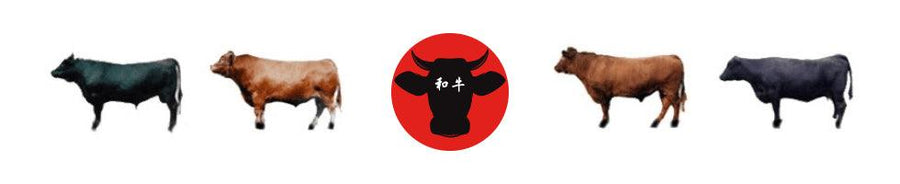 Wagyu 201: How Wagyu Is Your Wagyu? - Meat N' Bone