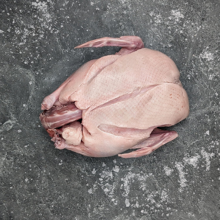 Duck - Meat N' Bone