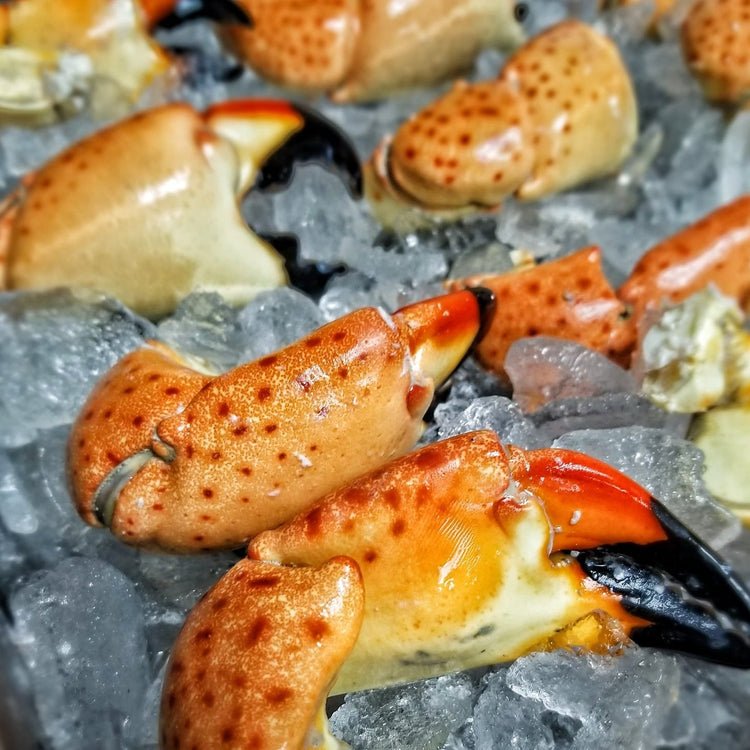 Stone Crab - Meat N' Bone