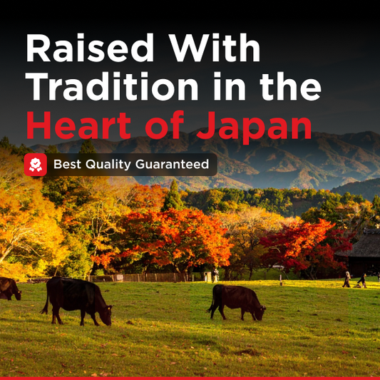 Whole Sirloin Roast | A5 Sanuki Olive Japanese Wagyu