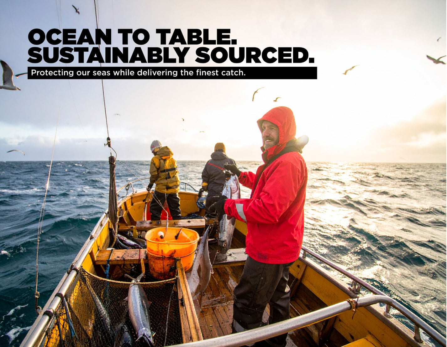 O-Toro Bluefin Tuna - Buy Premium Sushi Cut Toro Tuna – Meat N' Bone