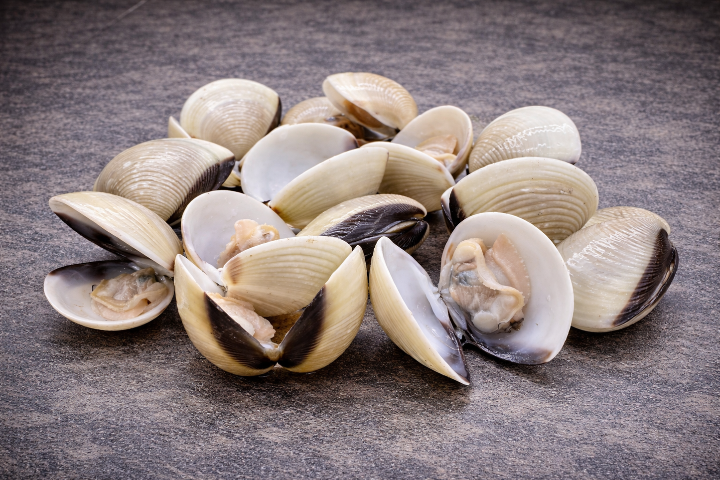 Vietnamese Whole Clams | U11-16