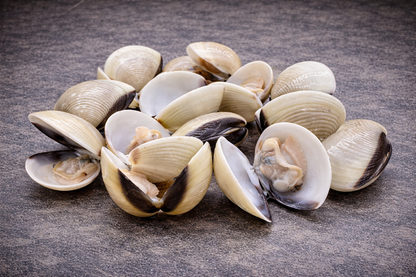 Vietnamese Whole Clams | U11-16