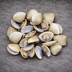 Vietnamese Whole Clams | U11-16
