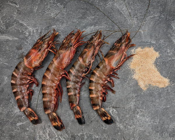 African Tiger Prawns | Wild Caught