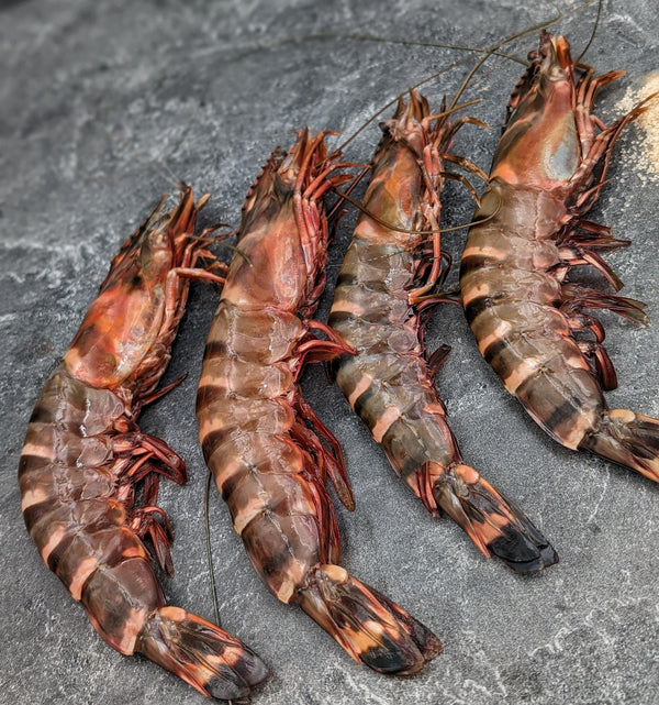 African Tiger Prawns | Wild Caught