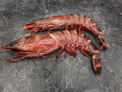 African Tiger Prawns |  U2