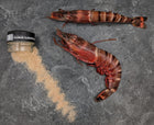 African Tiger Prawns | U2 - Meat N' Bone