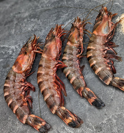 African Tiger Prawns | U4 - Meat N' Bone
