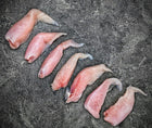 Alligator Tenderloin | Domestic - Meat N' Bone