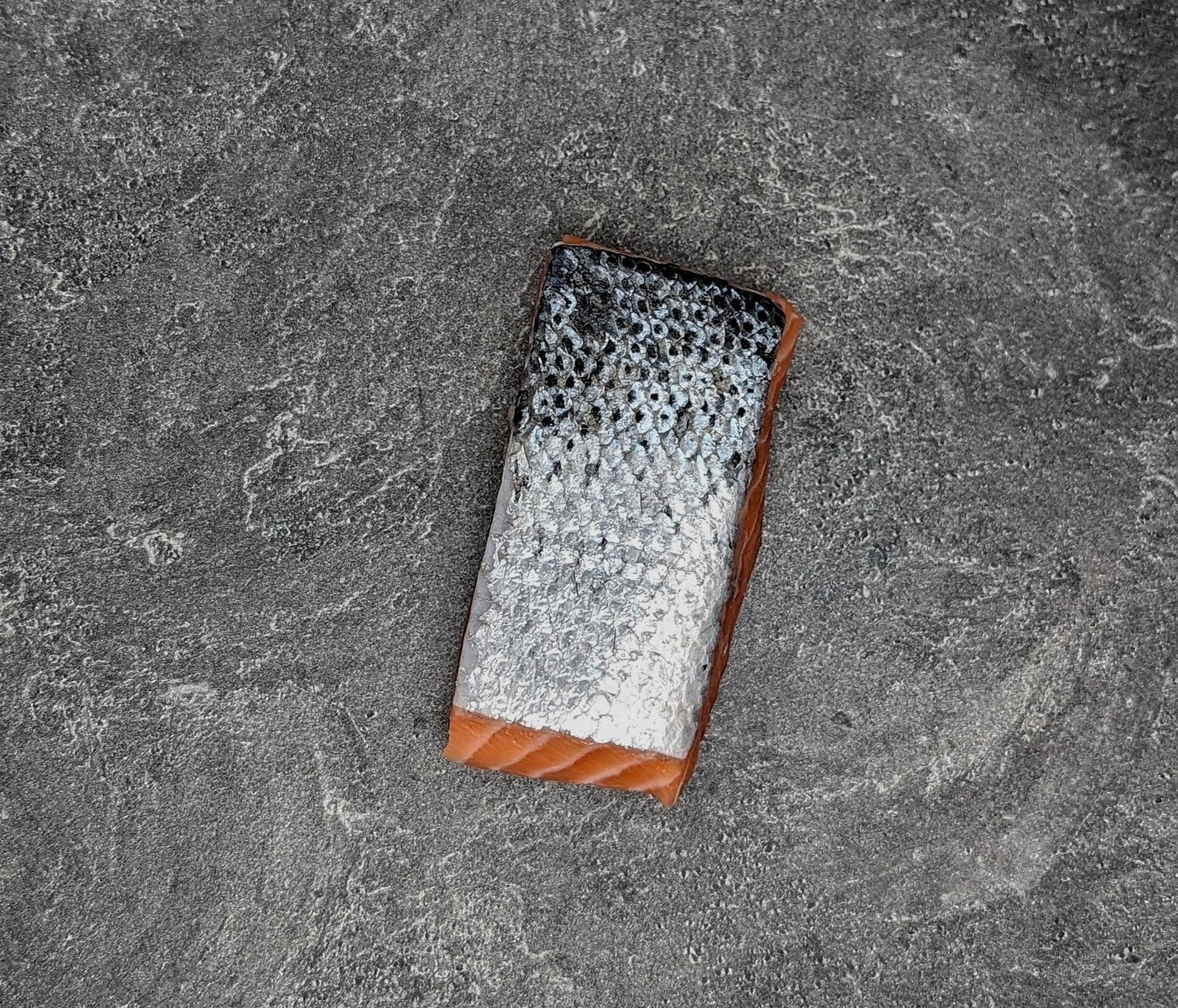 Atlantic Salmon Filet (Skin On)