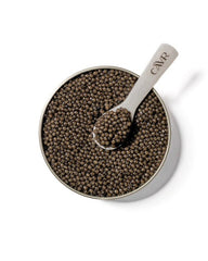 Beluga Caviar | CAVR