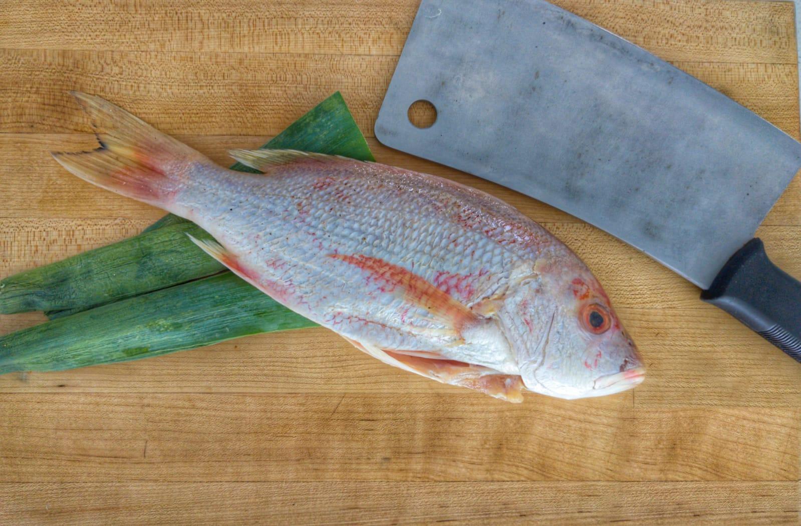 Caribbean Red Snapper | Wild Caught - Meat N' Bone