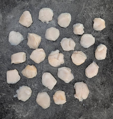 Day boat Dry Scallops | U-10/20