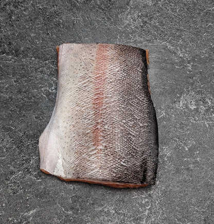 Rocky Mountains Freshwater Trout