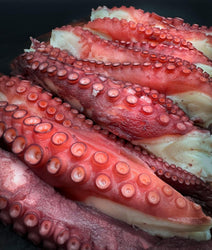 Jumbo Spanish Octopus - Meat N' Bone
