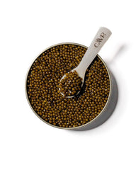 Kaluga Caviar | CAVR