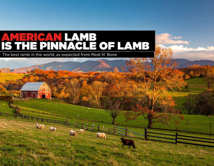 Midwestern Lamb Leg | Domestic - Meat N' Bone