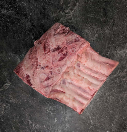 Prime Rib Bone - in | Grass Fed - Meat N' Bone