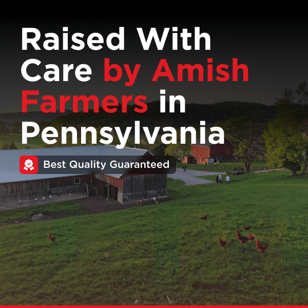 Pulled All Natural Chicken | 1lb - Meat N' Bone