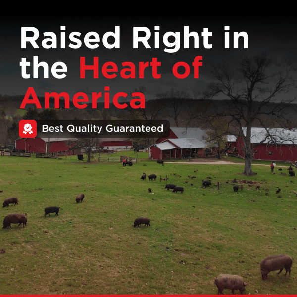 Pulled Heritage Pork | 1lb - Meat N' Bone