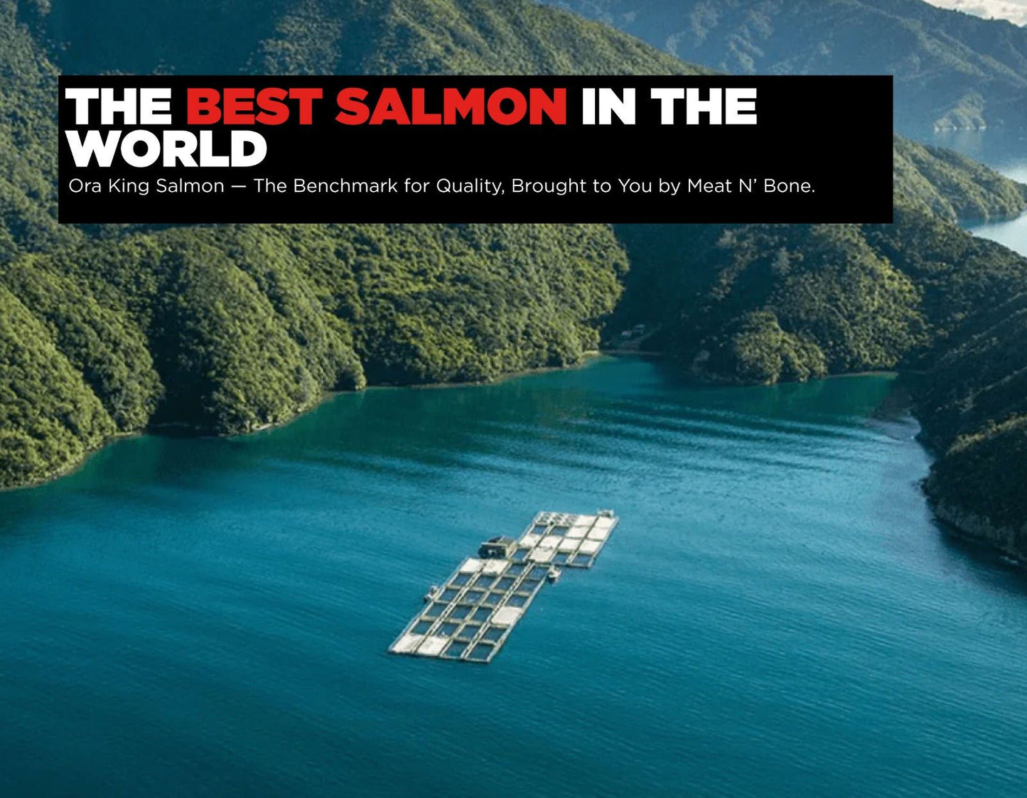 Royal King Salmon | Cold - Smoked - Meat N' Bone