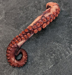 Spanish Octopus Tentacle (Arm) | Cooked - Ready to Eat