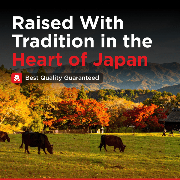 Striploin Roast | A5 Hannari Japanese Wagyu BMS 11/12 - Meat N' Bone