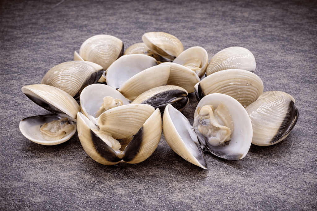 Vietnamese Whole Clams | U11 - 16 - Meat N' Bone