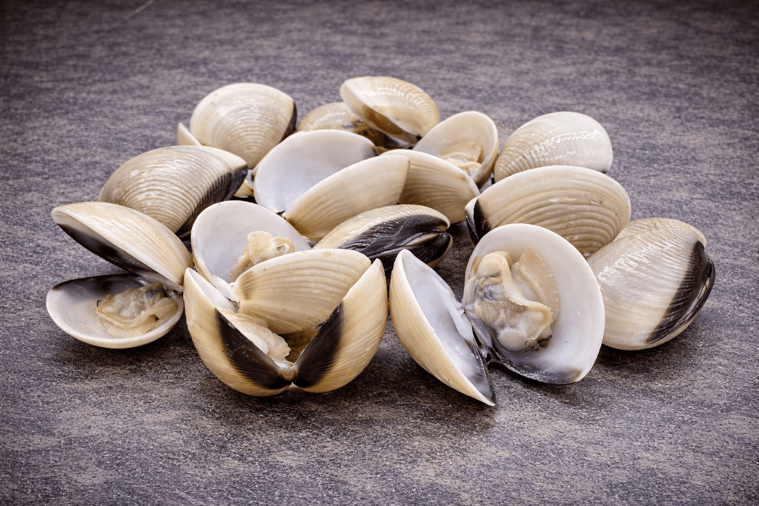 Vietnamese Whole Clams | U11 - 16 - Meat N' Bone