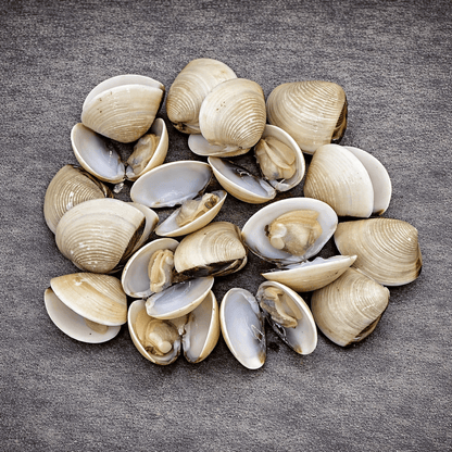Vietnamese Whole Clams | U11 - 16 - Meat N' Bone