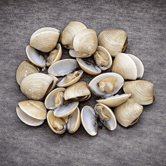 Vietnamese Whole Clams | U11-16
