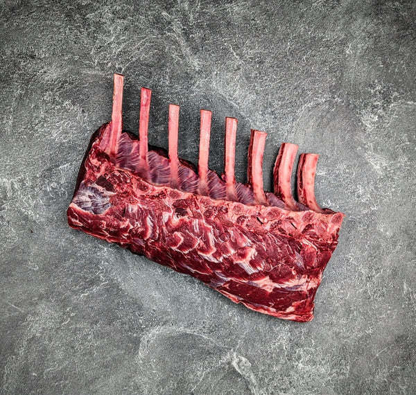 Wapiti Elk Rib Rack | Frenched - Meat N' Bone