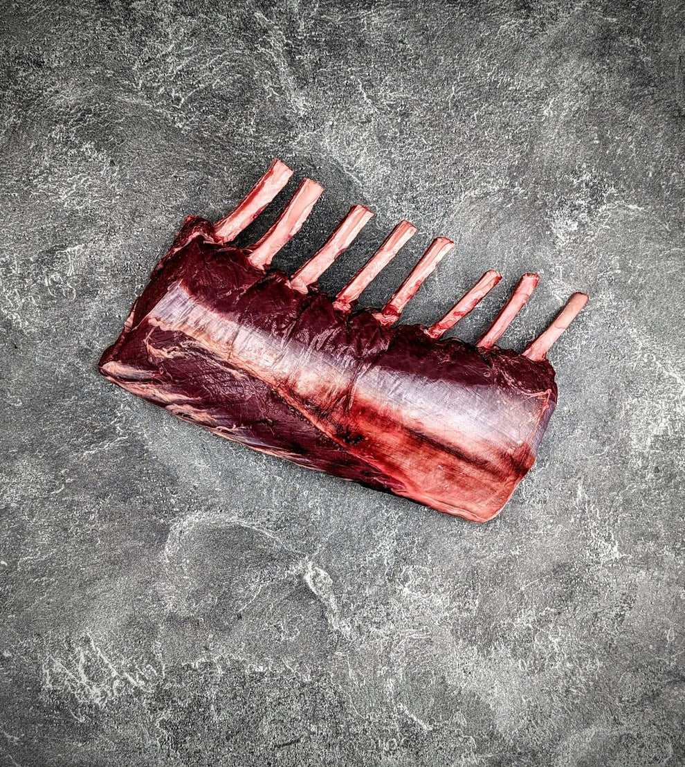 Frenched Wapiti Elk Rib Rack - Sourced From New Zealand – Meat N' Bone
