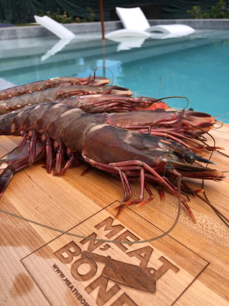 Big African Tiger Prawns