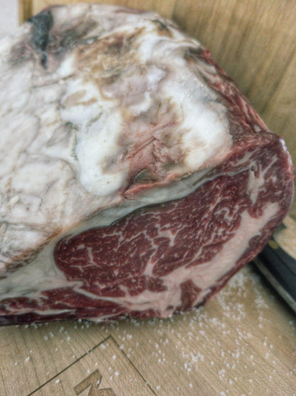 Dry Aged Prime Rib Bone - In (45+ Days) | USDA Prime - Meat N' Bone