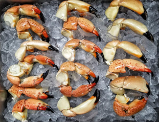 Florida Stone Crab | Medium Claws - Meat N' Bone