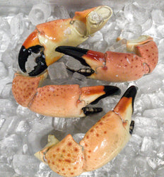 Florida Stone Crab | Colossal Claws - Meat N' Bone
