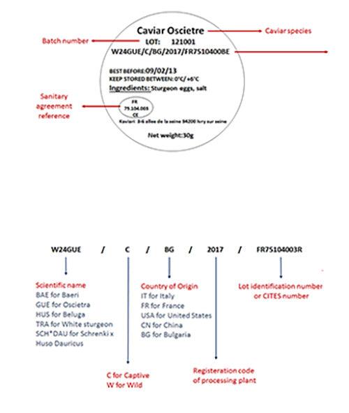 Kristal Caviar | Kaviari - Meat N' Bone