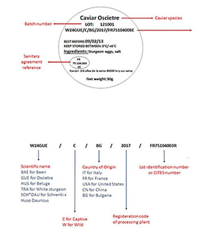 Kristal Caviar | Kaviari - Meat N' Bone