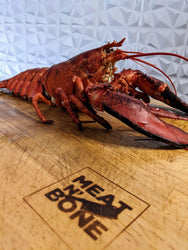 Maine Lobster (Live) - Meat N' Bone